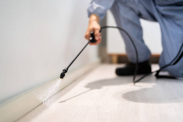 Certified termite inspector examining foundation in Canadian